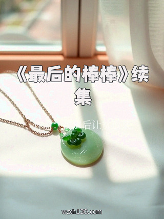 《最后的棒棒》续集
