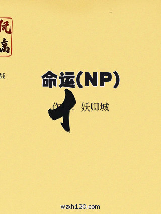 命运(NP)