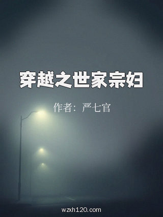穿越之世家宗妇
