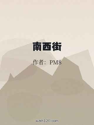 南西街