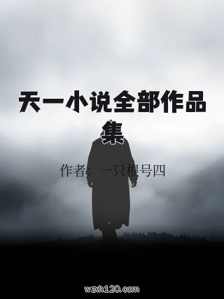 天一小说全部作品集