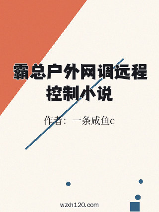 霸总户外网调远程控制小说