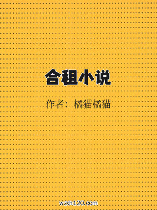 合租小说