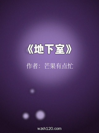 《地下室》
