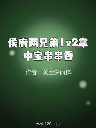 侯府两兄弟1v2掌中宝串串香