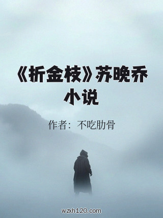 《折金枝》苏晚乔小说