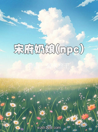 宋府奶娘(npc)