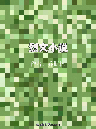 烈文小说