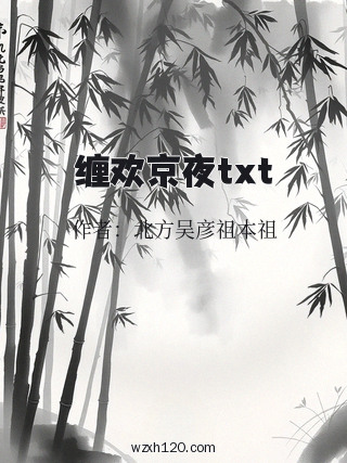 缠欢京夜txt