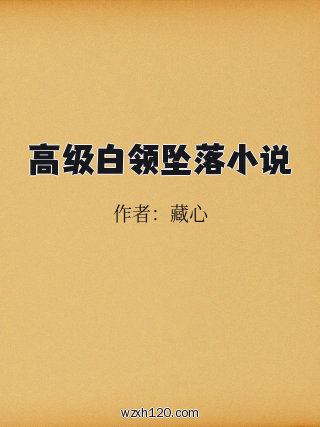 高级白领坠落小说