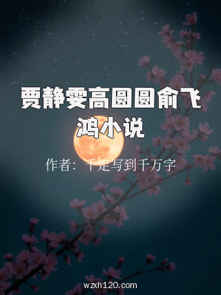贾静雯高圆圆俞飞鸿小说