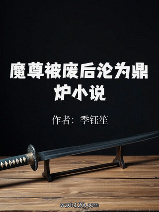魔尊被废后沦为鼎炉小说