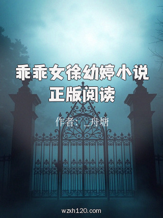 乖乖女徐幼婷小说正版阅读