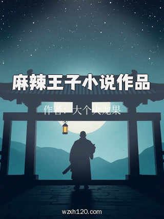 麻辣王子小说作品