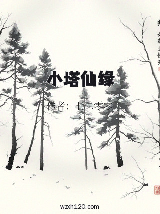 小塔仙缘