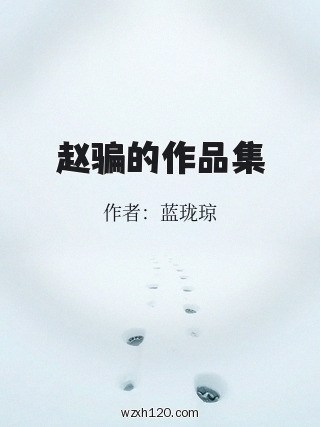 赵骗的作品集