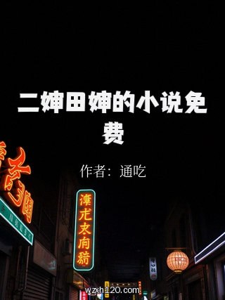 二婶田婶的小说免费