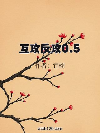 互攻反攻0.5