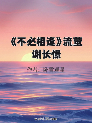 《不必相逢》流萤谢长憬