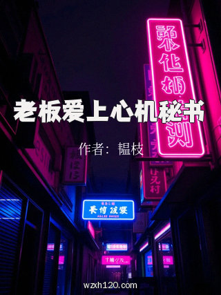 老板爱上心机秘书