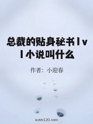 总裁的贴身秘书1v1小说叫什么