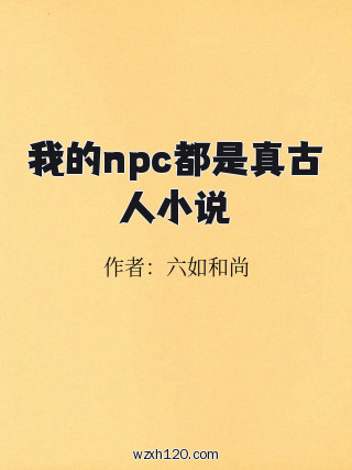 我的npc都是真古人小说