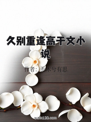 久别重逢高干文小说