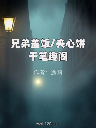 兄弟盖饭/夹心饼干笔趣阁