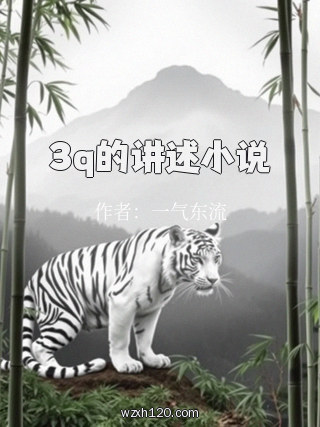 3q的讲述小说