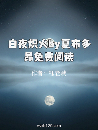 白夜炽火by夏布多昂免费阅读