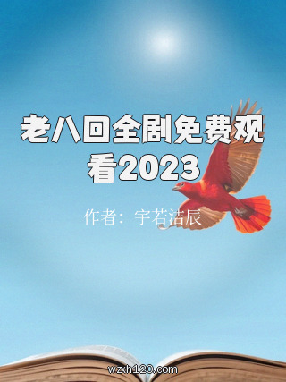 老八回全剧免费观看2023