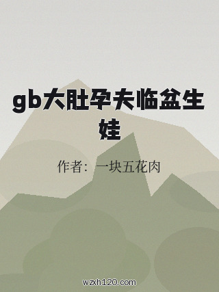 gb大肚孕夫临盆生娃