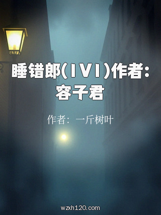 睡错郎(1V1)作者:容子君