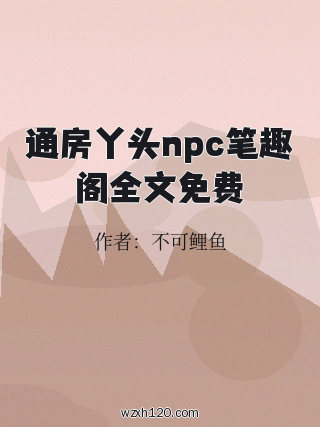 通房丫头npc笔趣阁全文免费