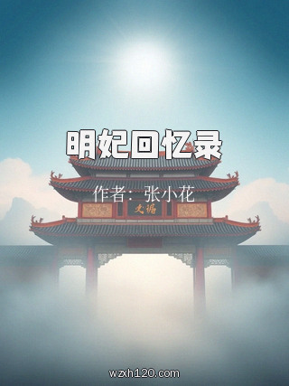 明妃回忆录