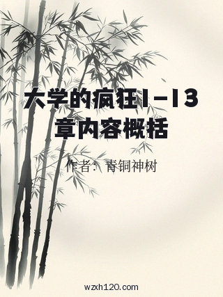 大学的疯狂1-13章内容概括