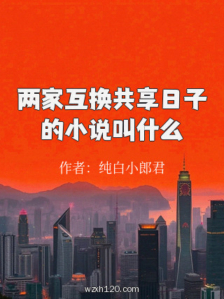两家互换共享日子的小说叫什么