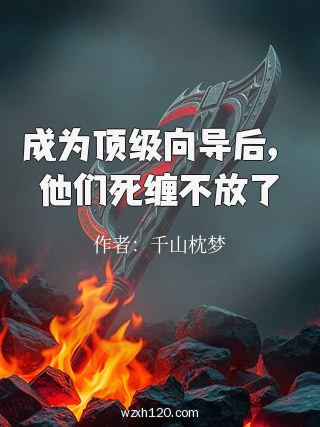 成为顶级向导后,他们死缠不放了
