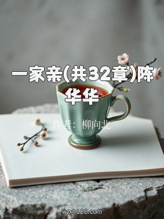 一家亲(共32章)陈华华
