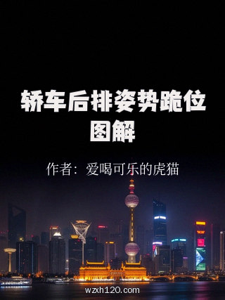 轿车后排姿势跪位图解