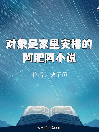对象是家里安排的阿肥阿小说