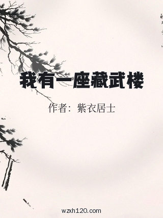 我有一座藏武楼