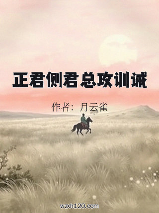 正君侧君总攻训诫