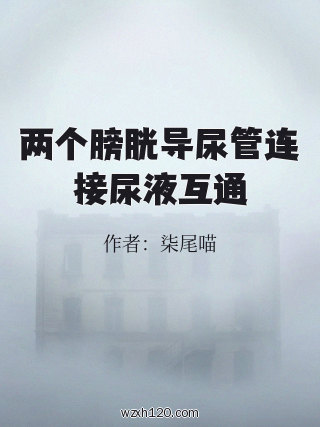 两个膀胱导尿管连接尿液互通