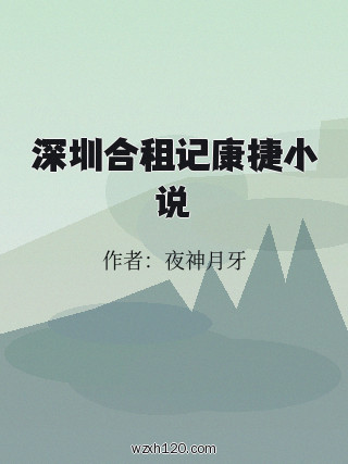深圳合租记康捷小说