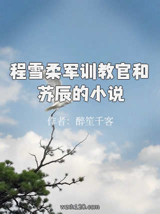 程雪柔军训教官和苏辰的小说