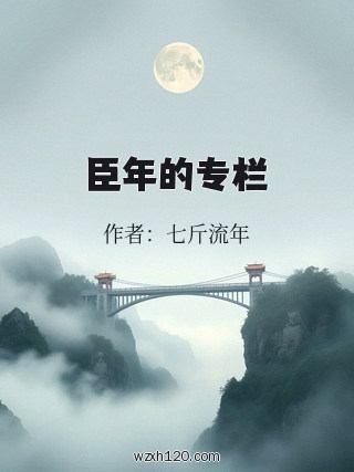 臣年的专栏