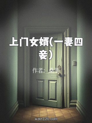上门女婿(一妻四妾)