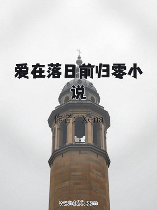 爱在落日前归零小说