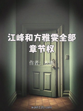 江峰和方雅雯全部章节权